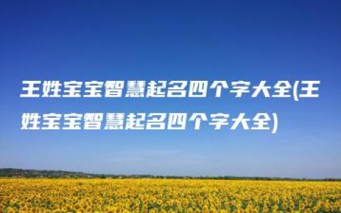 王姓宝宝智慧起名四个字大全(王姓宝宝智慧起名四个字大全)