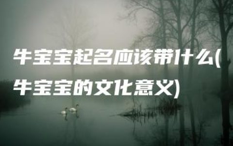 牛宝宝起名应该带什么(牛宝宝的文化意义)