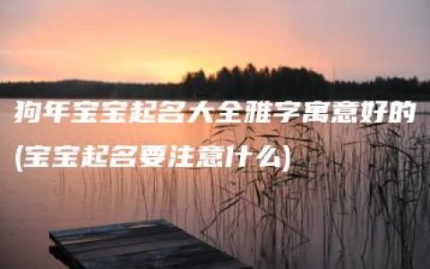 狗年宝宝起名大全雅字寓意好的(宝宝起名要注意什么)