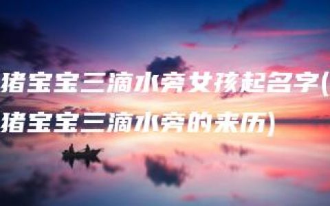 猪宝宝三滴水旁女孩起名字(猪宝宝三滴水旁的来历)