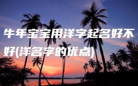 牛年宝宝用洋字起名好不好(洋名字的优点)