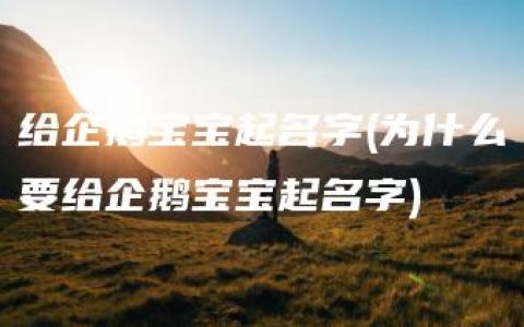 给企鹅宝宝起名字(为什么要给企鹅宝宝起名字)