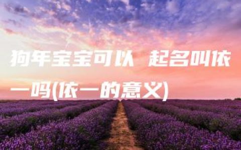 狗年宝宝可以 起名叫依一吗(依一的意义)