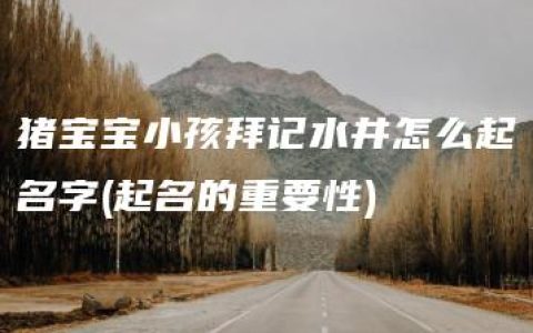 猪宝宝小孩拜记水井怎么起名字(起名的重要性)