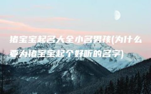 猪宝宝起名大全小名男孩(为什么要为猪宝宝起个好听的名字)