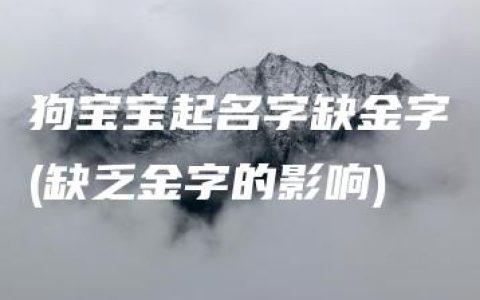 狗宝宝起名字缺金字(缺乏金字的影响)