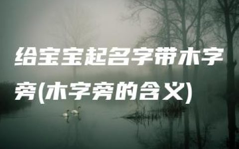 给宝宝起名字带木字旁(木字旁的含义)