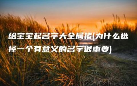 给宝宝起名字大全属猪(为什么选择一个有意义的名字很重要)