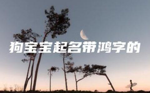 狗宝宝起名带鸿字的