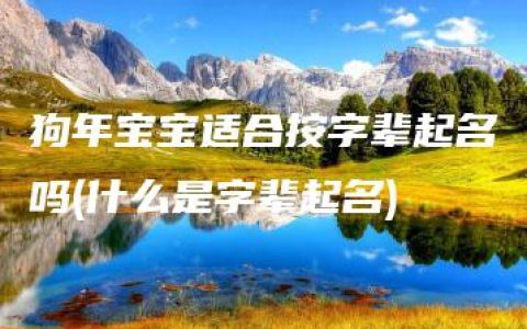 狗年宝宝适合按字辈起名吗(什么是字辈起名)