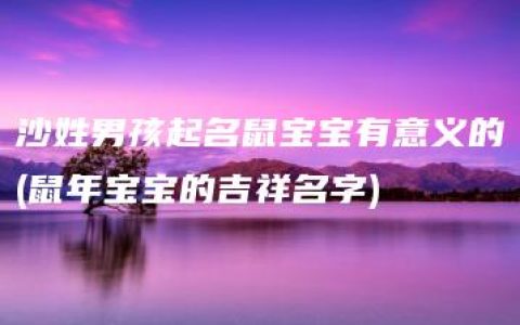 沙姓男孩起名鼠宝宝有意义的(鼠年宝宝的吉祥名字)