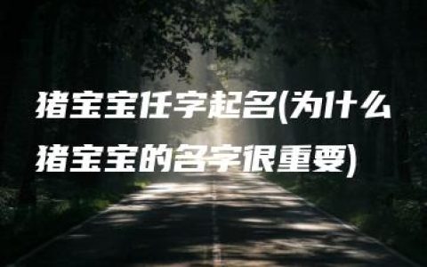 猪宝宝任字起名(为什么猪宝宝的名字很重要)