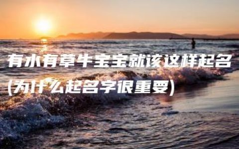 有水有草牛宝宝就该这样起名(为什么起名字很重要)