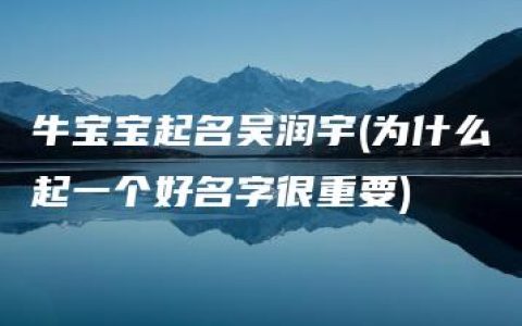 牛宝宝起名吴润宇(为什么起一个好名字很重要)