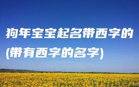 狗年宝宝起名带西字的(带有西字的名字)