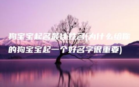 狗宝宝起名最佳姓名(为什么给你的狗宝宝起一个好名字很重要)