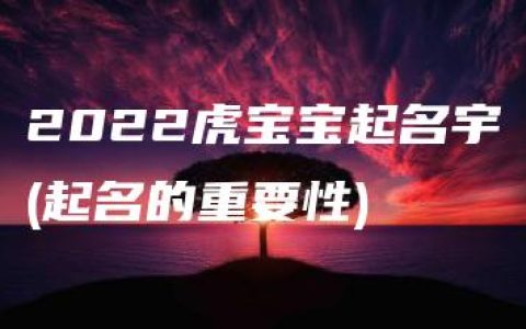 2022虎宝宝起名宇(起名的重要性)