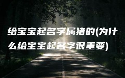 给宝宝起名字属猪的(为什么给宝宝起名字很重要)