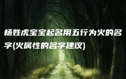 杨姓虎宝宝起名用五行为火的名字(火属性的名字建议)