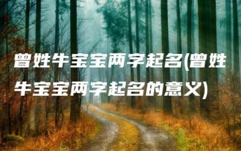 曾姓牛宝宝两字起名(曾姓牛宝宝两字起名的意义)