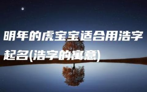 明年的虎宝宝适合用浩字起名(浩字的寓意)