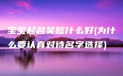 宝宝起名吴懿什么好(为什么要认真对待名字选择)