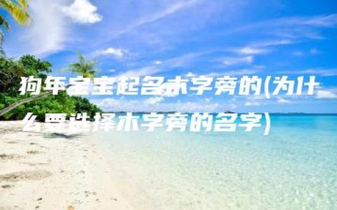 狗年宝宝起名木字旁的(为什么要选择木字旁的名字)