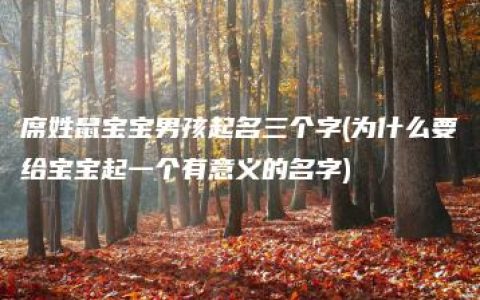 席姓鼠宝宝男孩起名三个字(为什么要给宝宝起一个有意义的名字)