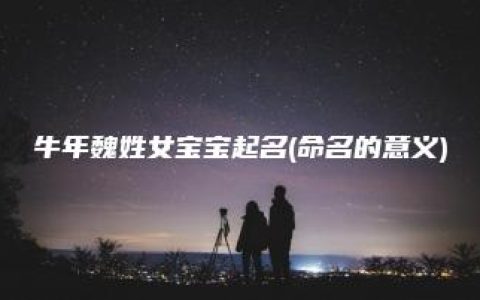 牛年魏姓女宝宝起名(命名的意义)