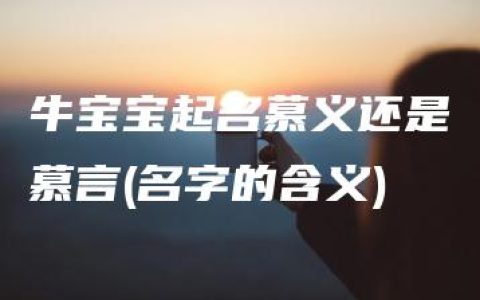 牛宝宝起名慕义还是慕言(名字的含义)