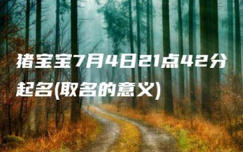 猪宝宝7月4日21点42分起名(取名的意义)