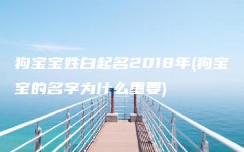 狗宝宝姓白起名2018年(狗宝宝的名字为什么重要)