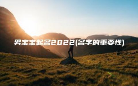 男宝宝起名2022(名字的重要性)