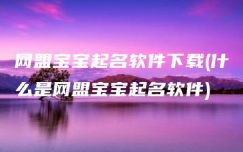 网盟宝宝起名软件下载(什么是网盟宝宝起名软件)