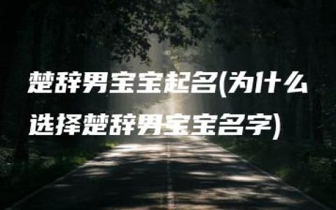 楚辞男宝宝起名(为什么选择楚辞男宝宝名字)