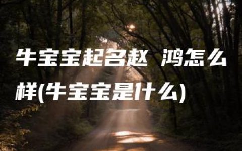 牛宝宝起名赵珺鸿怎么样(牛宝宝是什么)