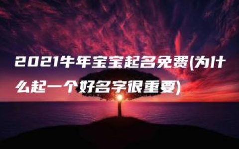 2021牛年宝宝起名免费(为什么起一个好名字很重要)