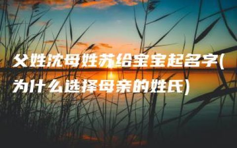 父姓沈母姓苏给宝宝起名字(为什么选择母亲的姓氏)