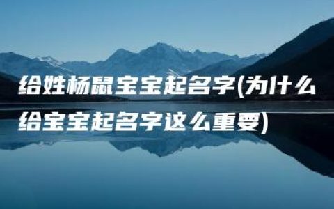 给姓杨鼠宝宝起名字(为什么给宝宝起名字这么重要)