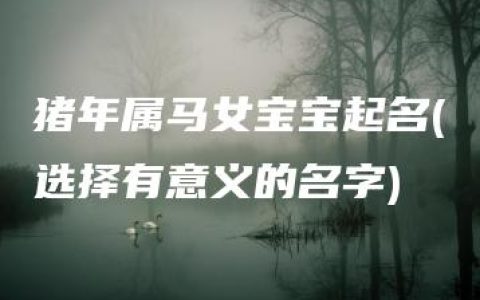 猪年属马女宝宝起名(选择有意义的名字)