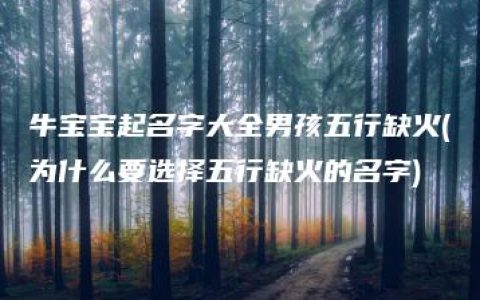 牛宝宝起名字大全男孩五行缺火(为什么要选择五行缺火的名字)