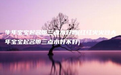 牛年宝宝起名带三点水好吗(红红火火过大年宝宝起名带三点水好不好)