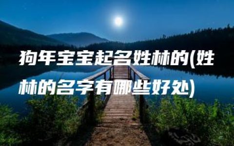 狗年宝宝起名姓林的(姓林的名字有哪些好处)