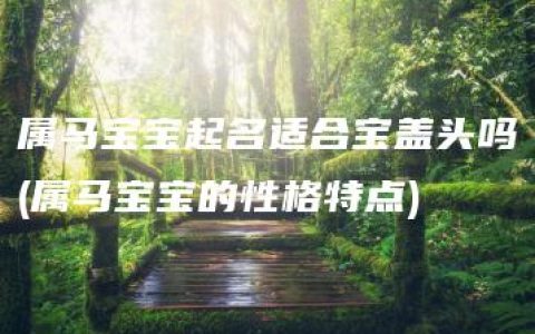 属马宝宝起名适合宝盖头吗(属马宝宝的性格特点)