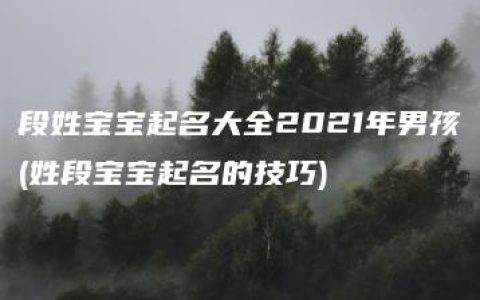 段姓宝宝起名大全2021年男孩(姓段宝宝起名的技巧)