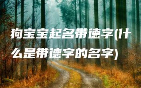 狗宝宝起名带德字(什么是带德字的名字)