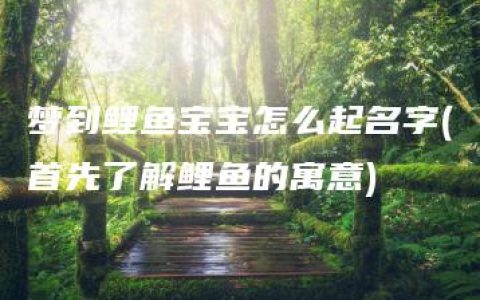 梦到鲤鱼宝宝怎么起名字(首先了解鲤鱼的寓意)