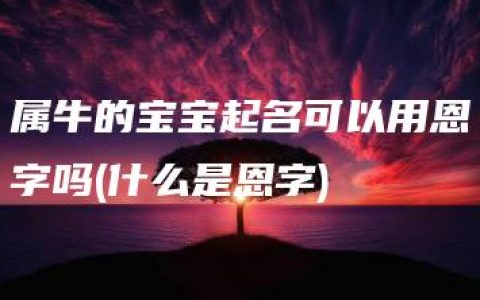 属牛的宝宝起名可以用恩字吗(什么是恩字)