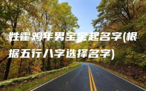 姓霍鸡年男宝宝起名字(根据五行八字选择名字)