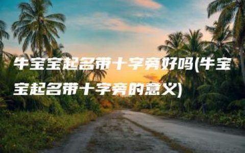 牛宝宝起名带十字旁好吗(牛宝宝起名带十字旁的意义)